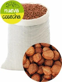 Avellana S/c Cruda 9/11