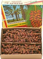 Datil Rama Israel