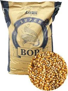 Maiz Palomitas
