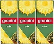Granini Piña Minibrick P-3