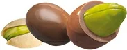 Mi Momento Pistacho Choc Leche