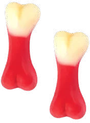 Gusanas Bicéfalos