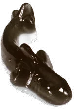 Tiburón Blanco-Negro Jelly