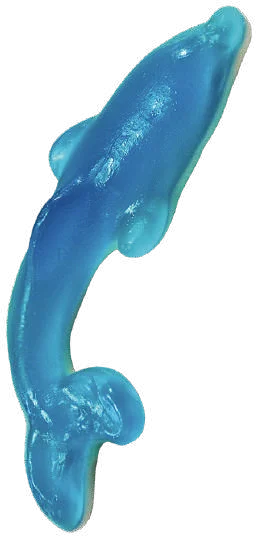 Delfin Gigante JL